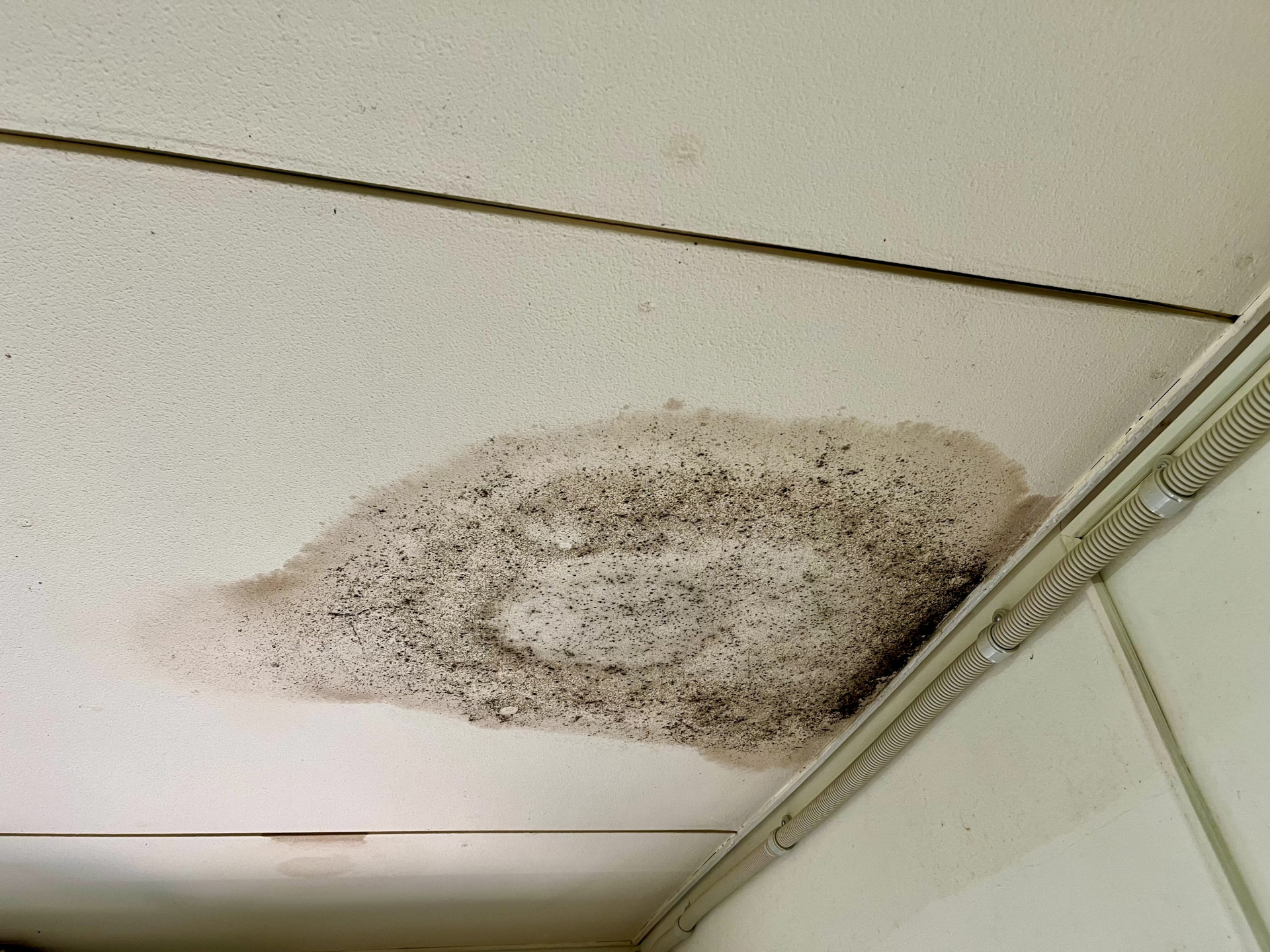 調査が必要な兆候